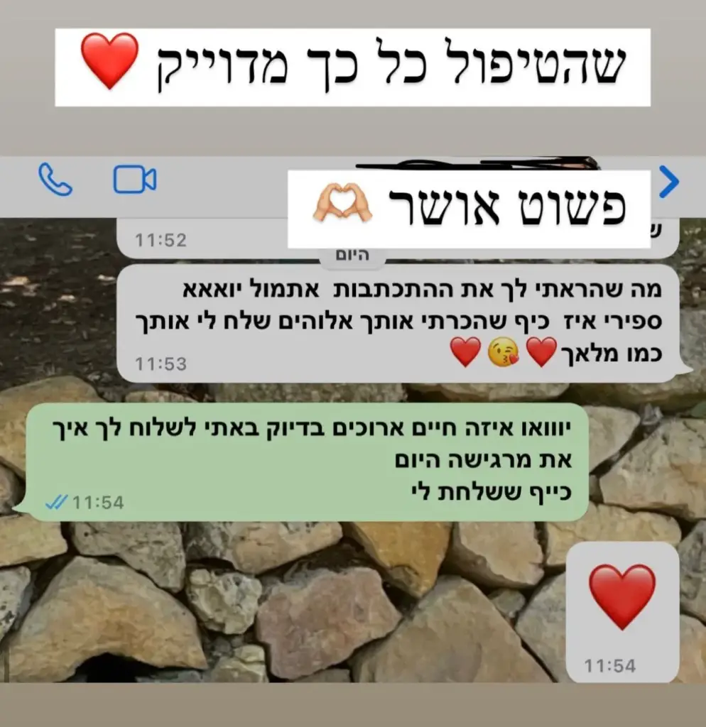 המלצה 5