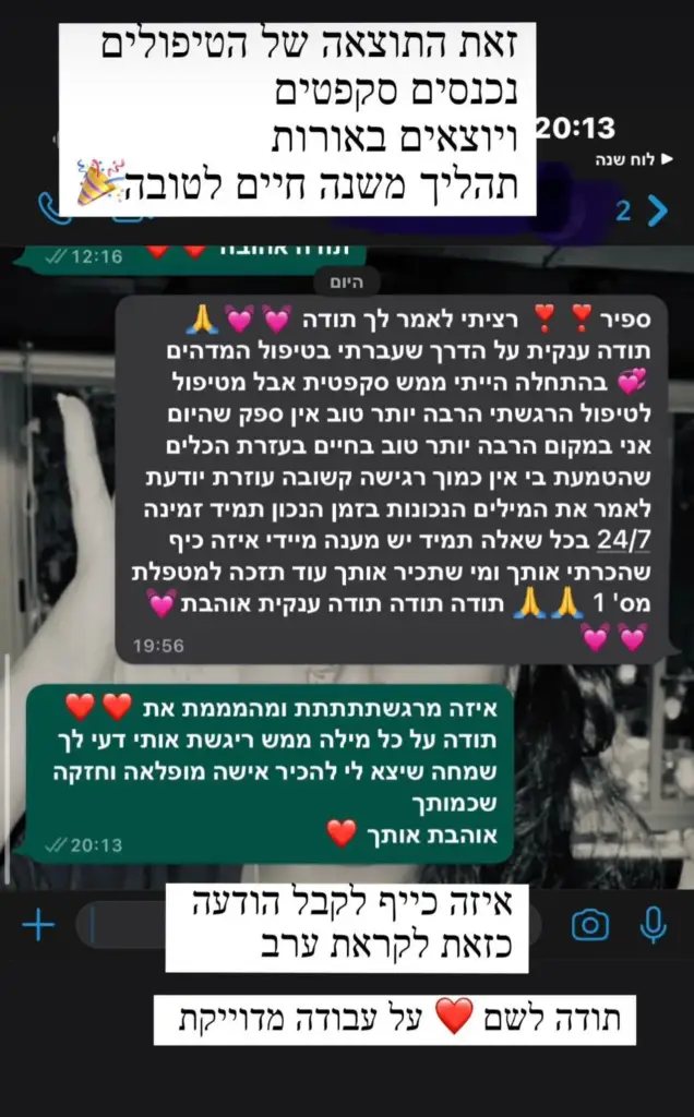 המלצה 8